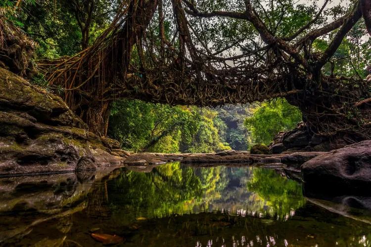 Meghalaya Officials Coordinate with Hungarian Embassy for Tourist's Body Transfer