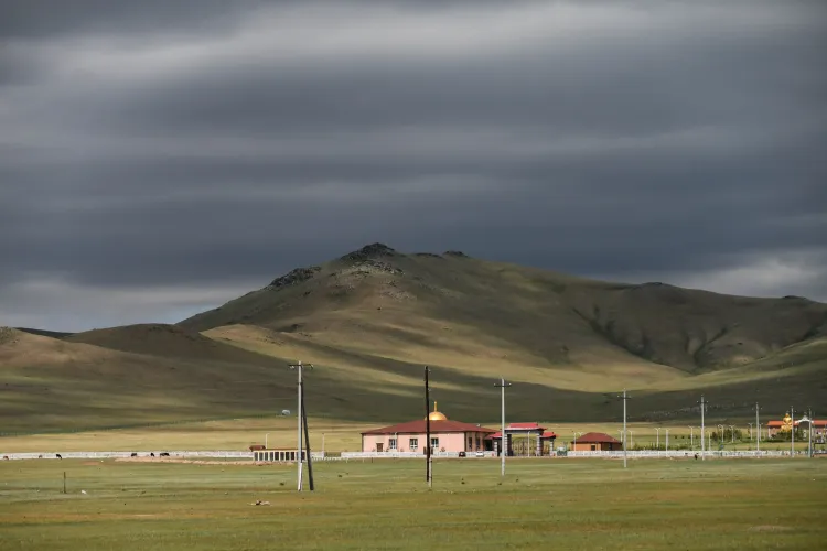 Mongolia to Bolster Support for the Wool, Cashmere, and Leather Processing Sectors