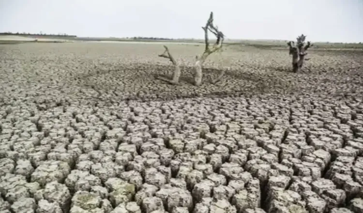 Around 200 Nations Pledge to Prioritize Land Restoration and Drought Resilience