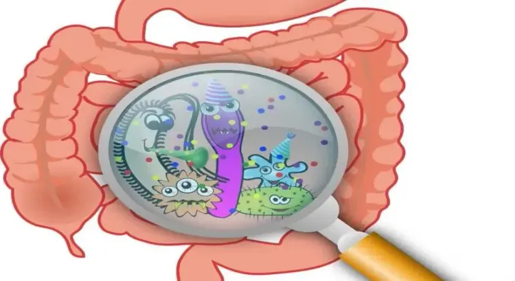 Can Non-Antibiotic Drugs Disrupt Your Microbiome and Increase Gut Infection Risk?