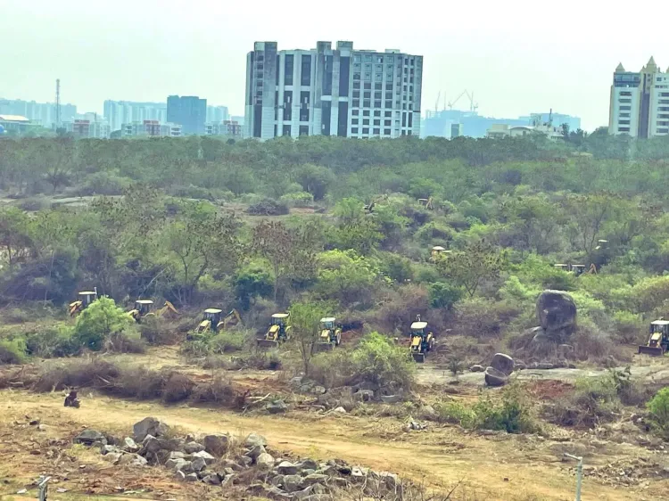 Supreme Court Prolongs Halt on Deforestation near Hyderabad University