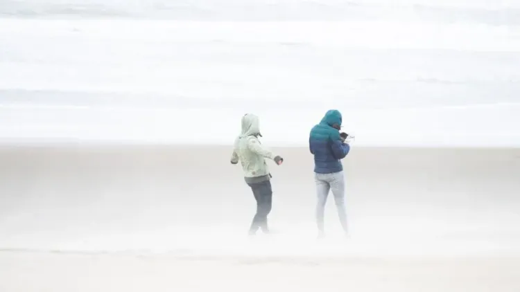 More than 100 flights grounded as fierce winds hit the Netherlands