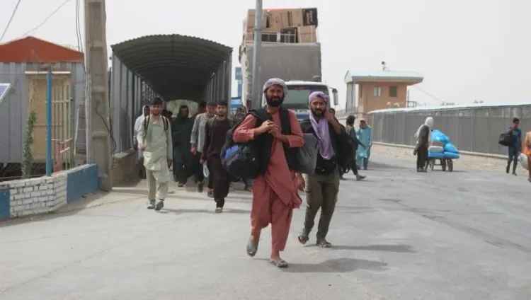 Did Over 30,000 Afghan Refugees Return from Iran in One Day?