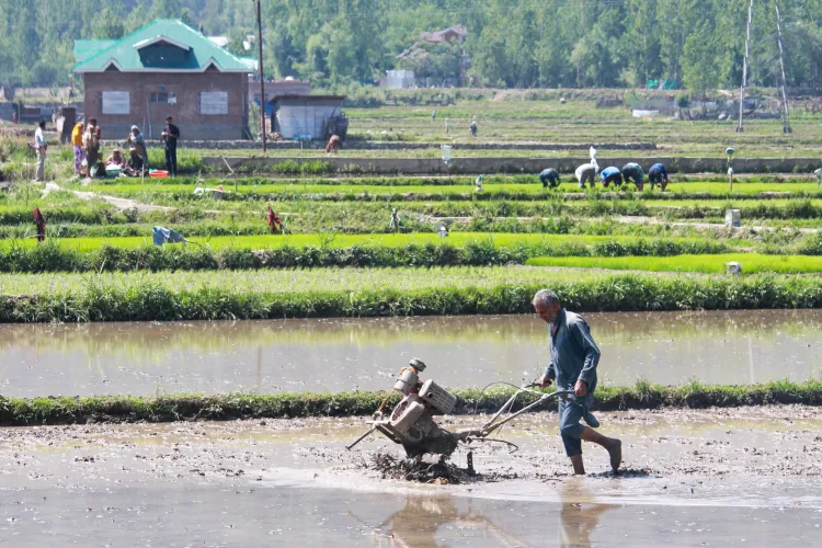 How Have Over 6.1 Crore Indian Farmers Received Aadhaar-like Digital IDs Linked to Land Records?