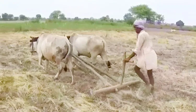 What is the Impact of PM KISAN Scheme on Farmers in MP's Damoh?