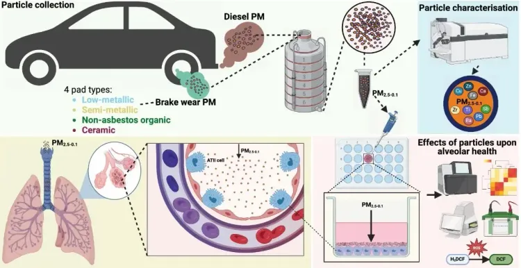 Car Brake Wear Pollution More Detrimental to Lungs than Diesel Exhaust: Research