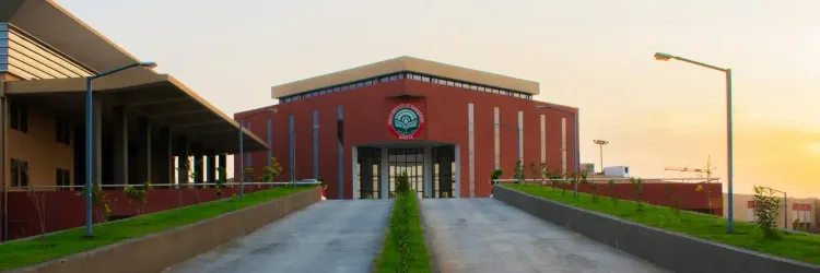 Punjab and Haryana HC Confirms Dr Dheeraj Sharma's Role as IIM Rohtak Director