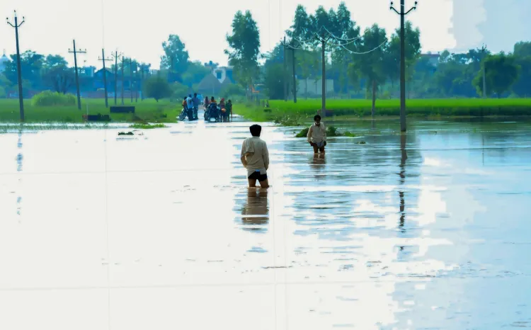 Will Punjab Minister's Call for Rs 50,000 per Acre Relief Be Heeded?