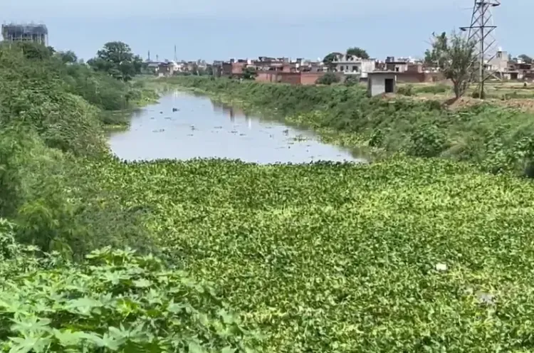 क्या पटियाला में घग्गर नदी का जलस्तर बढ़ने से बाढ़ का खतरा है?
