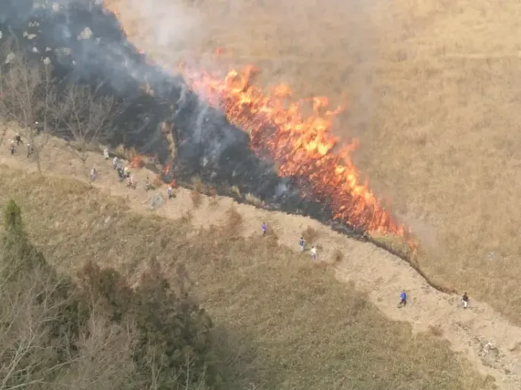 Rainfall Aids in Containing Wildfire in Iwate, Japan