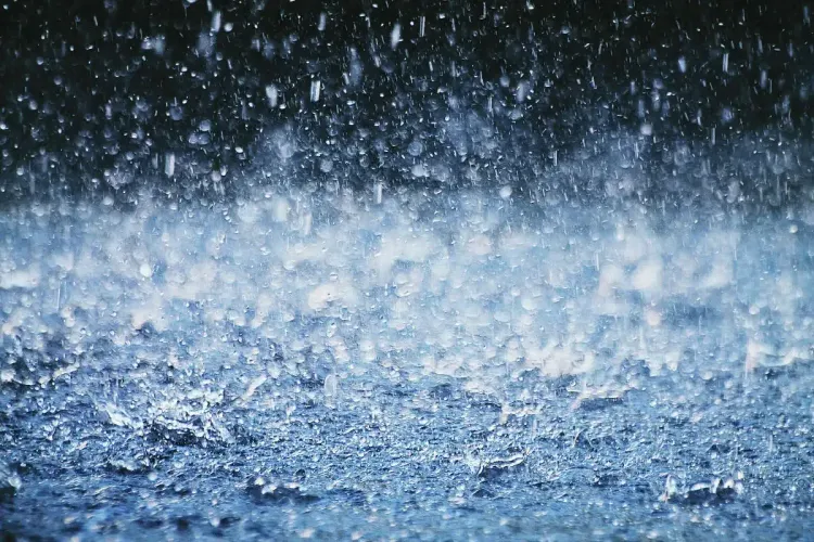 Is Rain on the Horizon for TN and Puducherry?