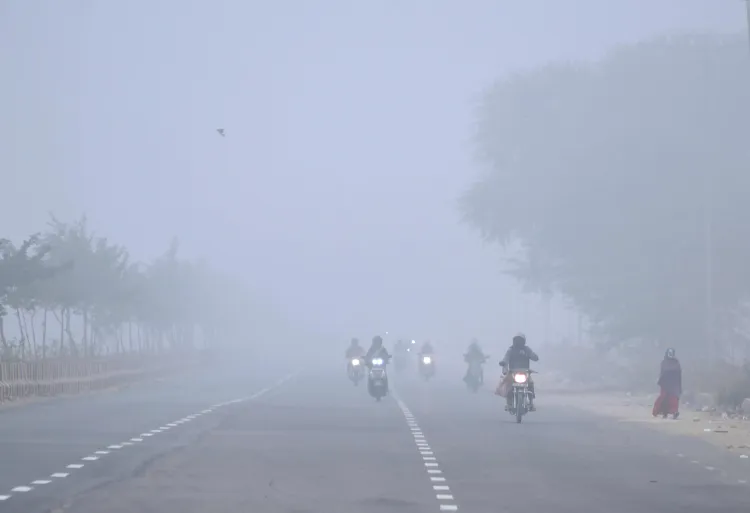 Rajasthan Experiencing Cold Wave as Intermittent Rain Hits the State