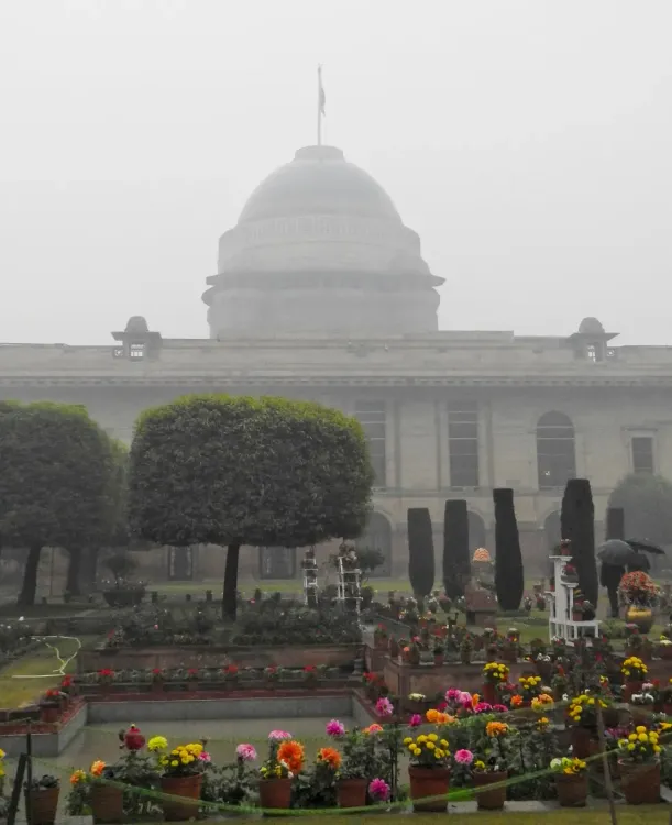 Rashtrapati Bhavan's Amrit Udyan to Welcome Visitors Starting February 2