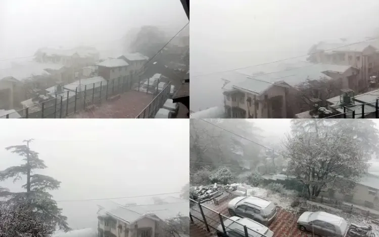 Mild Snow Graces Shimla, Reviving Hopes for a White Christmas