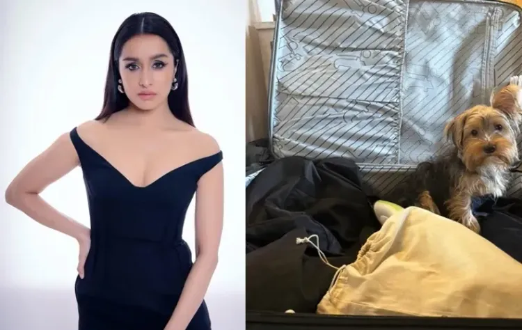 Shraddha Kapoor Travels with a Ticket-less Companion