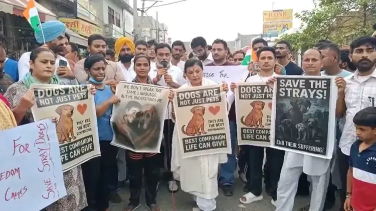 क्या दिल्ली में आवारा कुत्तों के हक में श्री मुक्तसर साहिब में निकाली गई रैली?