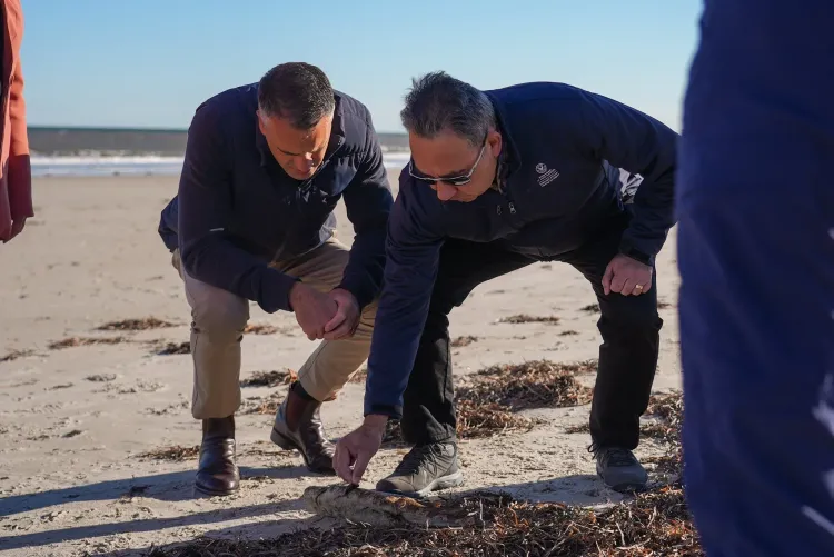 Has the South Australian Premier Requested Millions in Federal Funding to Combat the Toxic Algae Crisis?