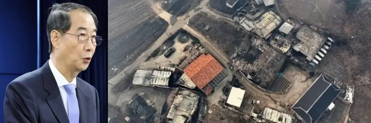Additional Areas in South Korea Declared Special Disaster Zones After Devastating Wildfires
