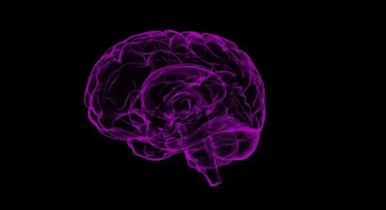Could a Common Gene Variant Double Dementia Risk for Men?