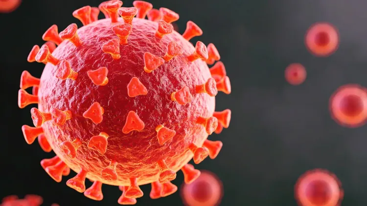 What Mechanism Does the Covid Virus Use to Shield Itself During Replication?