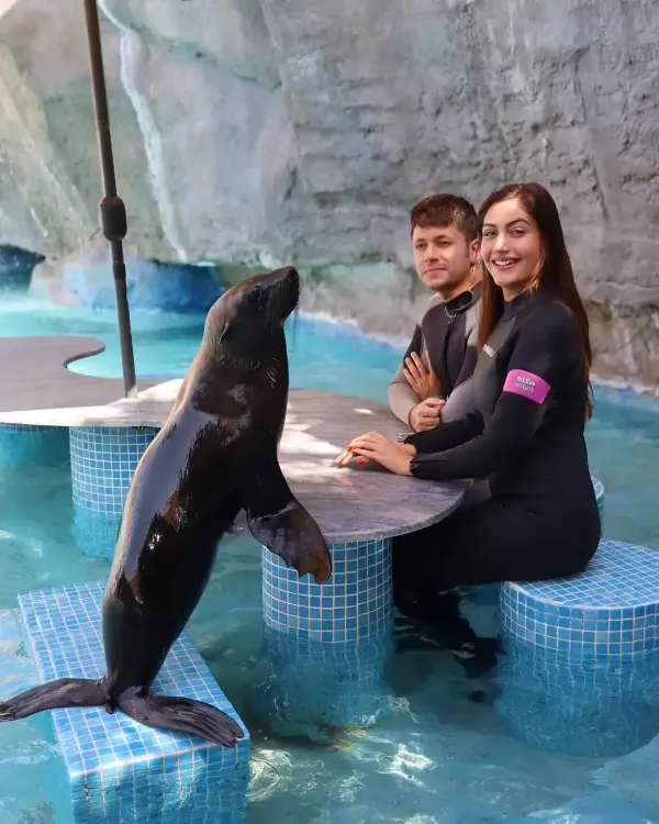 Did Surbhi Chandna Have a Fun Day with Dolphins in Abu Dhabi?