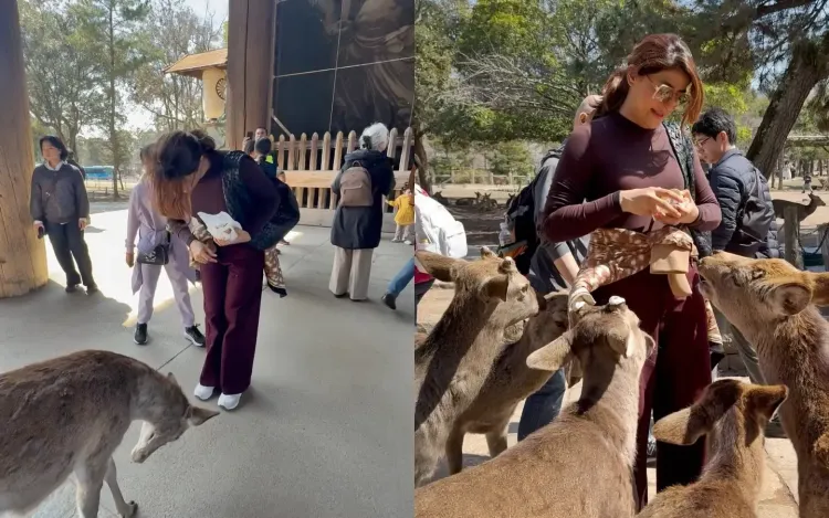 Tahira Kashyap Captures a Heartwarming Moment with a Grateful Deer