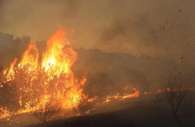 Why Are Thousands Being Evacuated Due to a Rapidly Spreading Wildfire in Southern California?
