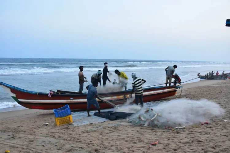Is Tamil Nadu Setting Up 14 New Fishnet Collection Centres?
