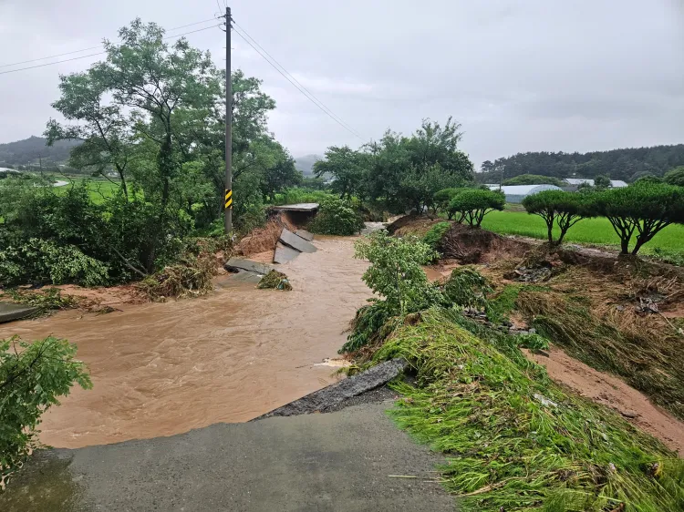 What Impact Did the Torrential Rains Have on South Korea?