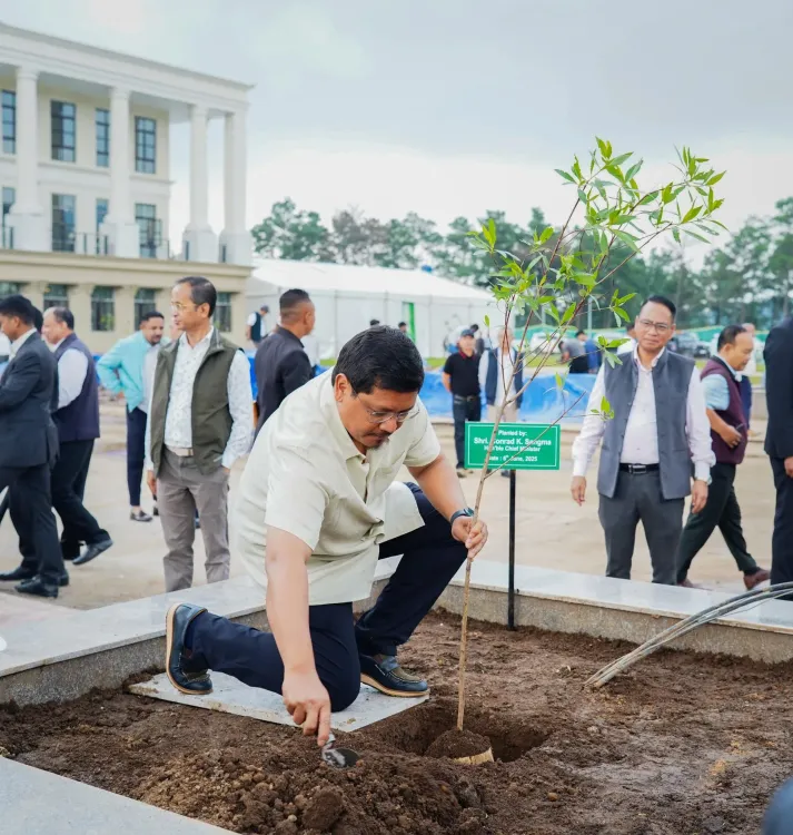 How Many Saplings Have Been Planted in Meghalaya in the Last Five Years?