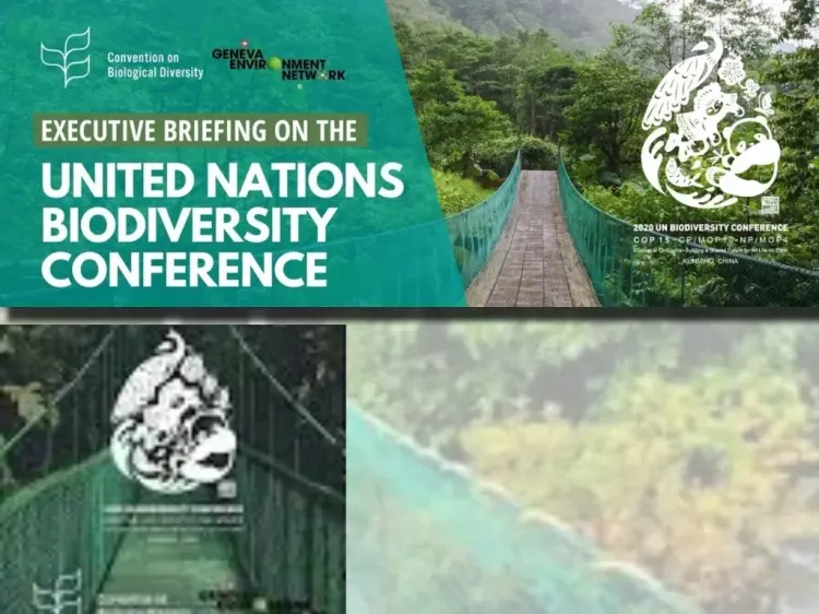 UN Biodiversity Conference Set to Resume in February in Rome