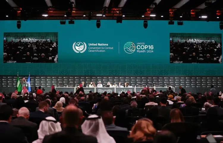 UN Conference on Combatting Desertification Kicks Off in Riyadh
