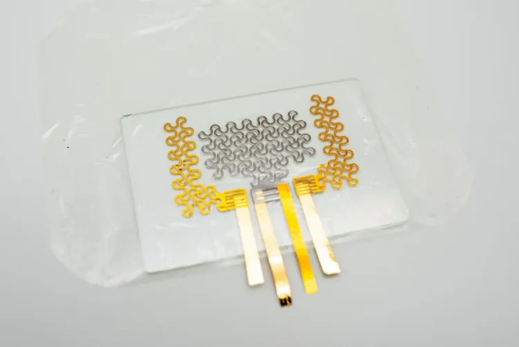 Revolutionary Shift in Cardiac Care: Study on Wearable Heart Sound Devices