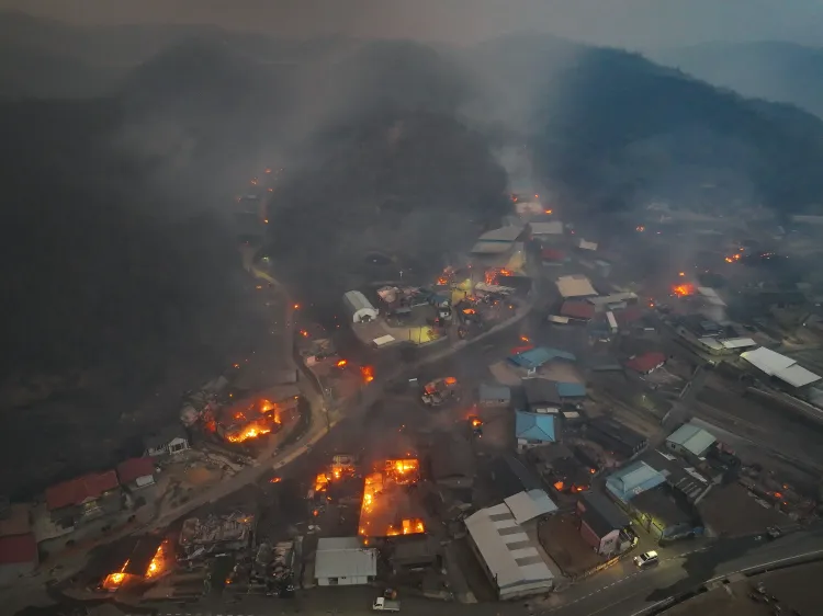 Elderly Woman Found Dead in Cheongsong Due to Wildfires in South Korea