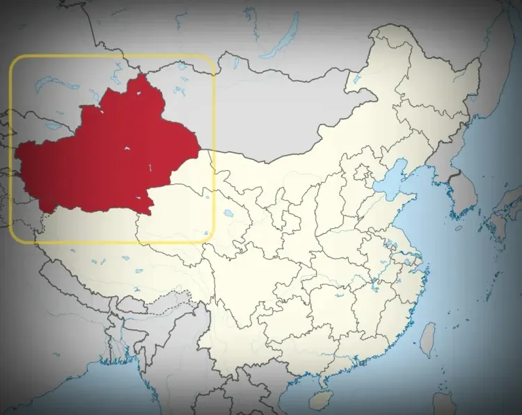 Jeminay Port in Xinjiang Sees Record Surge in Cross-Border Passenger Travel