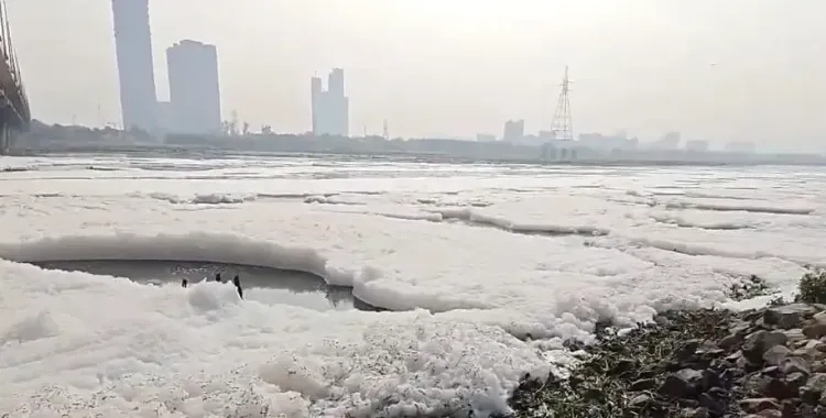 क्या यमुना नदी का कायाकल्प संभव है? दिल्ली जल बोर्ड ने 917 करोड़ के सीवेज ट्रीटमेंट प्रोजेक्ट को दी मंजूरी