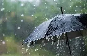 RMC Predicts Rain in Tamil Nadu Until April 13