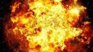 MP: Enormous Blaze Erupts in Gandhi Sagar Wildlife Sanctuary