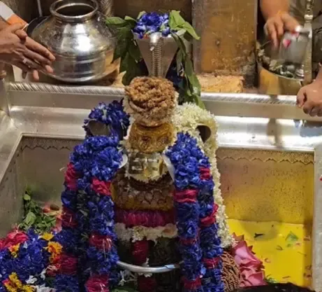क्या नाग पंचमी की विशेष पूजा से संकटों से मुक्ति संभव है?