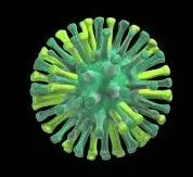 Is New Zealand Ready for the Potential Arrival of H5N1?