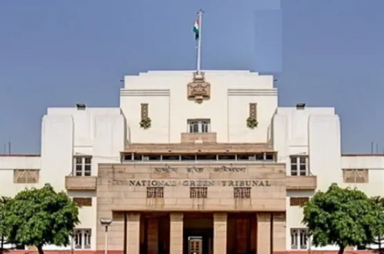Did the NGT Act on the Nitrogen Gas Leak Incident in Maharashtra?
