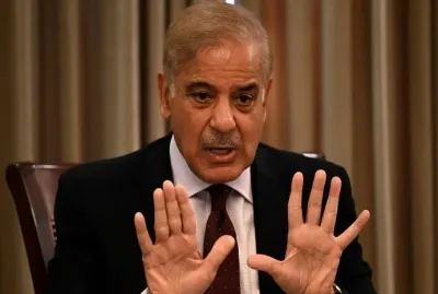 Did Pakistan PM Shehbaz Sharif Confirm India's Decisive Action?