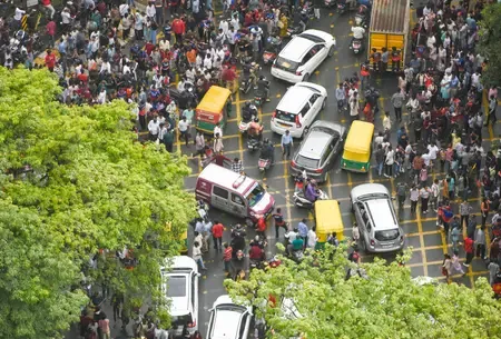 What Did the Panel Report on the K'taka Stampede Case?