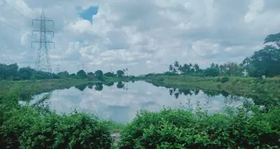 Plea in SC seeks protection of all wetlands under 2017 conservation
 and management rules