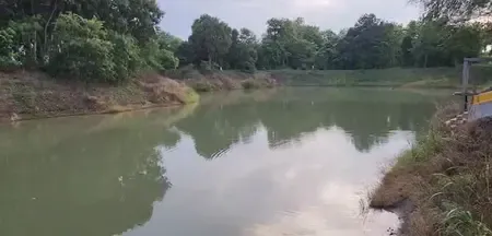 Is PM Matsya Sampada Yojana Transforming Fishery Businesses in Bihar?