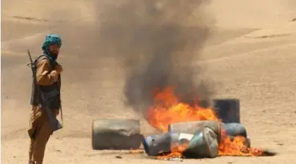Afghan Authorities Seize 19 kg of Illicit Drugs, Detain 12 Smugglers