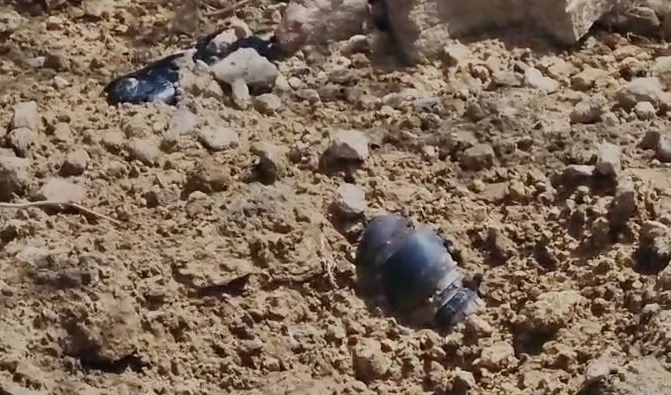 What Happened in Jaisalmer? Bomb-like Object Discovered!