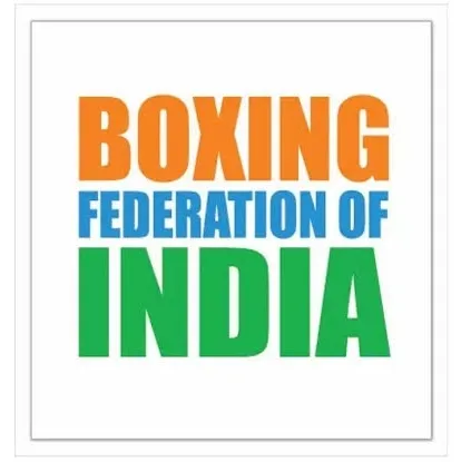 How did Services win team gold in boys and girls categories at Junior Boxing Nationals?