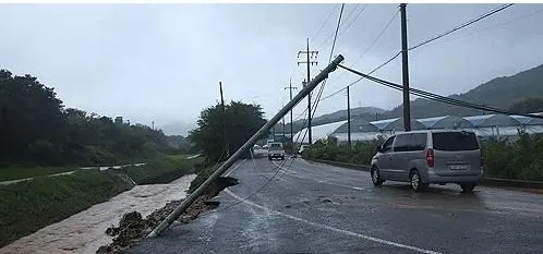 What Impact Have Heavy Rains and Landslides Had in South Korea?