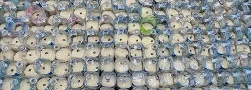 Why Were Six Americans Arrested for Sending Goods to North Korea?